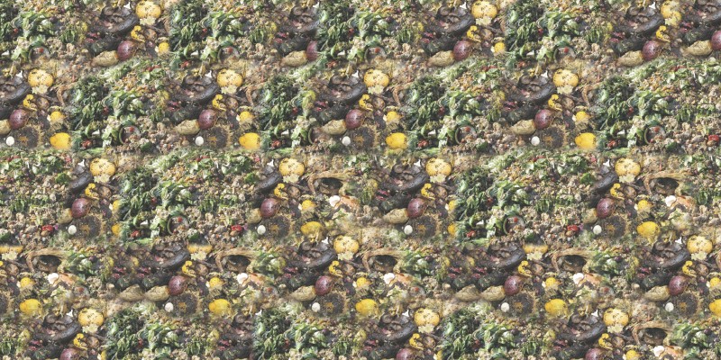 compost_texture